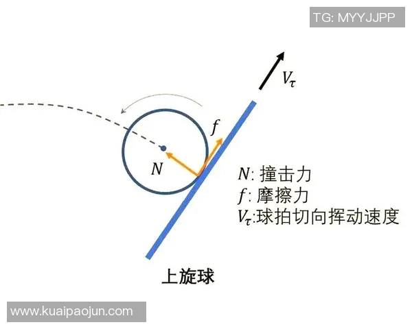 乒乓球新手必看:快速掌握基础技巧与实用训练方法指南 乒乓球新手必看:快速掌握基础技巧与实用训练方法指南