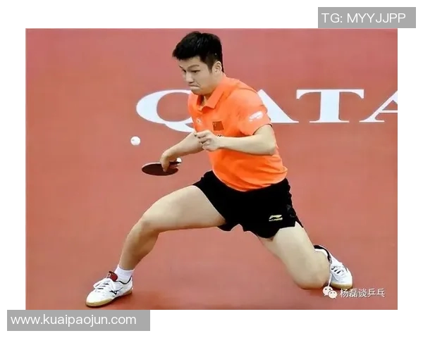 对话杨磊：回顾网球生涯的辉煌与挑战与未来展望