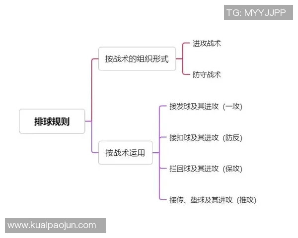 杭州排球队进攻体系解析与战术创新探讨